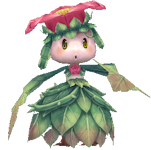 Blossom